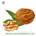 Walnut Kernels Light Amber Helften (LAH) voor geweldige smaak